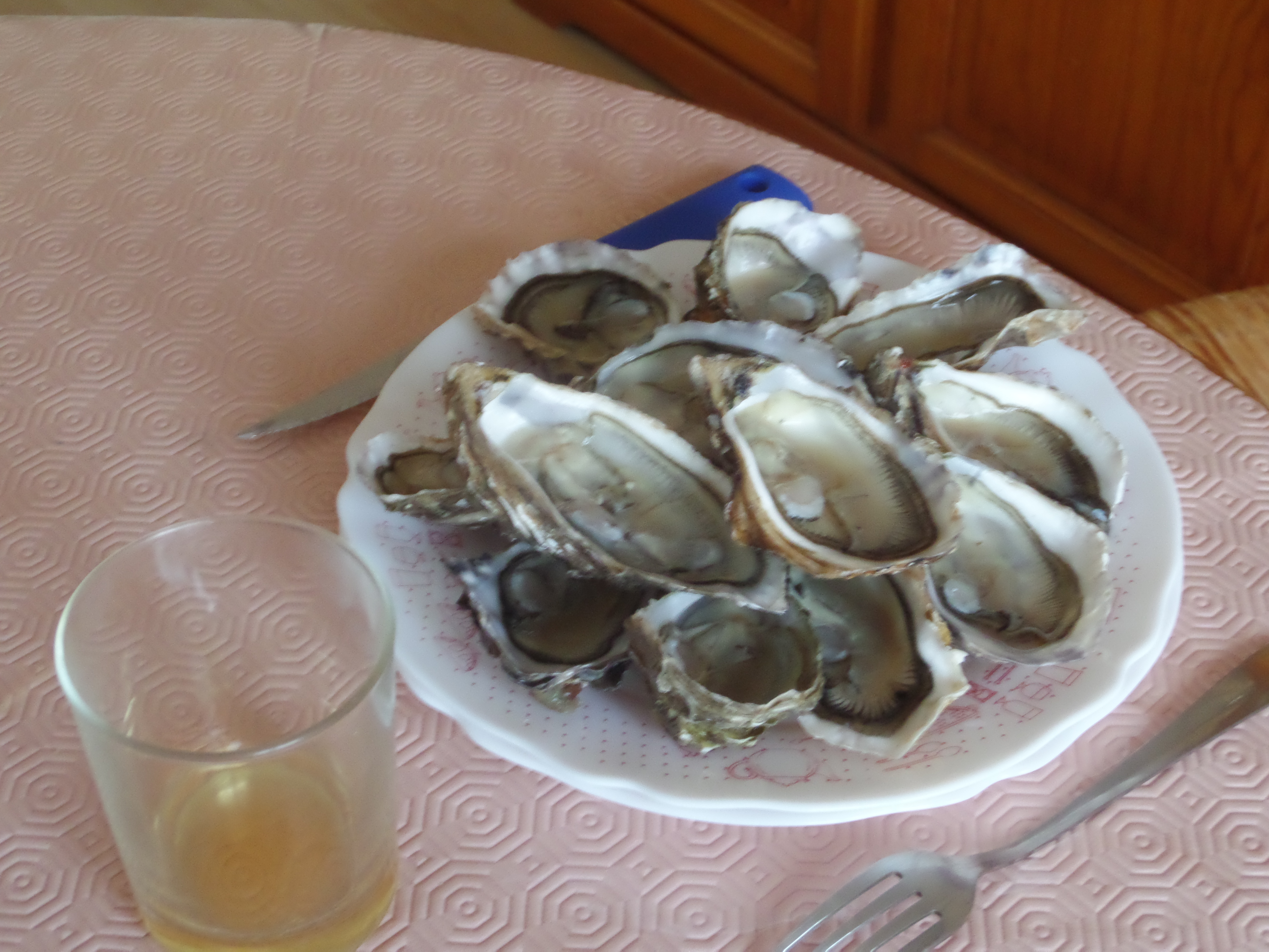 Coupe de Noël Coupe de Noël