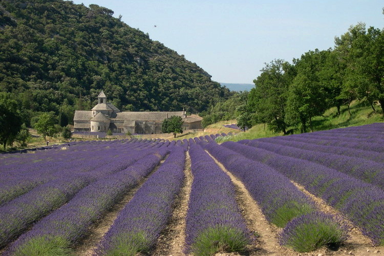 Sites français à découvir