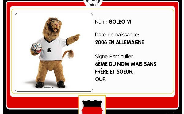 Finale Allemagne - Argentine