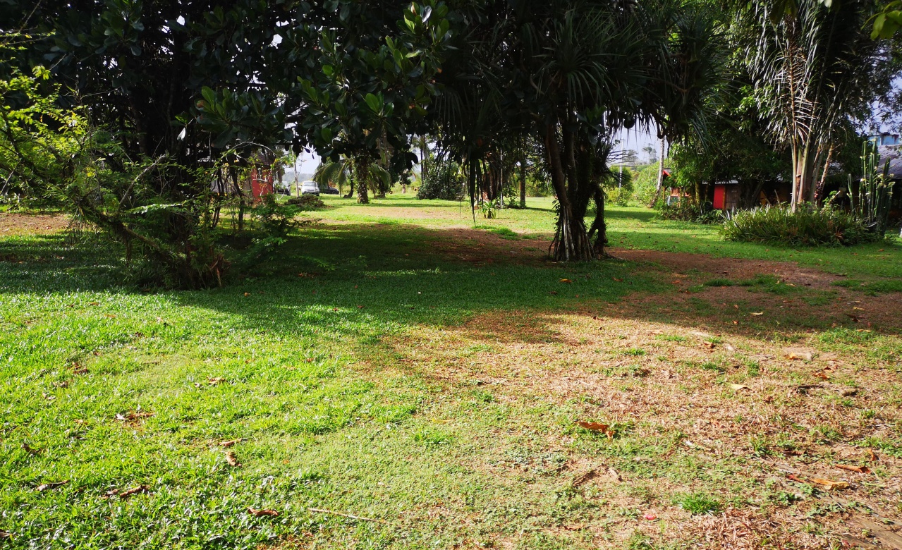 IMG_20181130_075732 IMG_20181130_075732