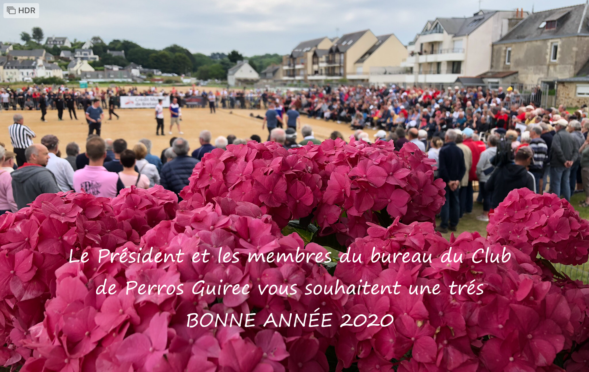 Article n°785 Article n°785