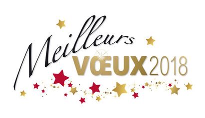 Bonne année 2018. Bonne année 2018.