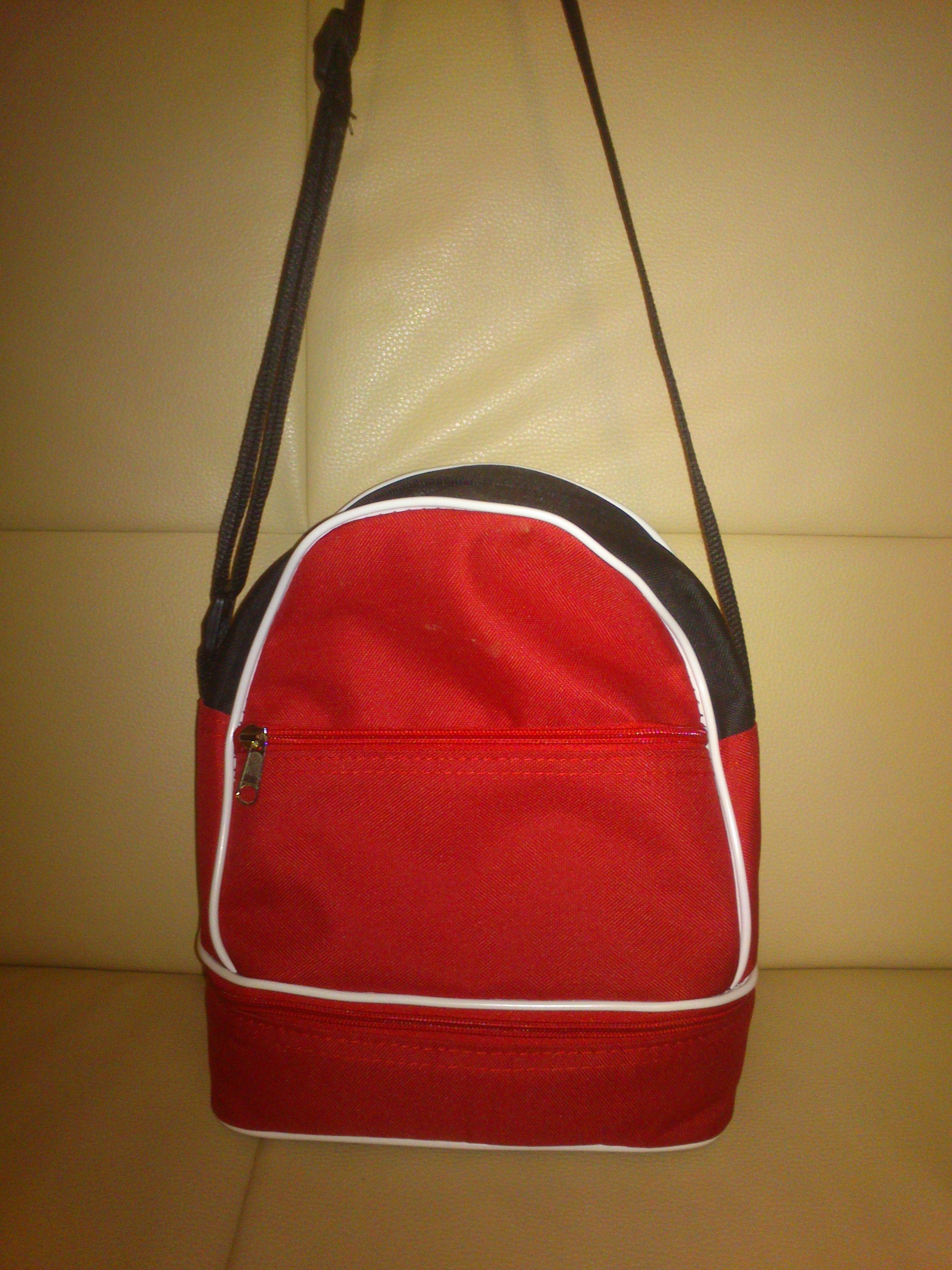 Sac pour transporter les boules prix 18 euros.