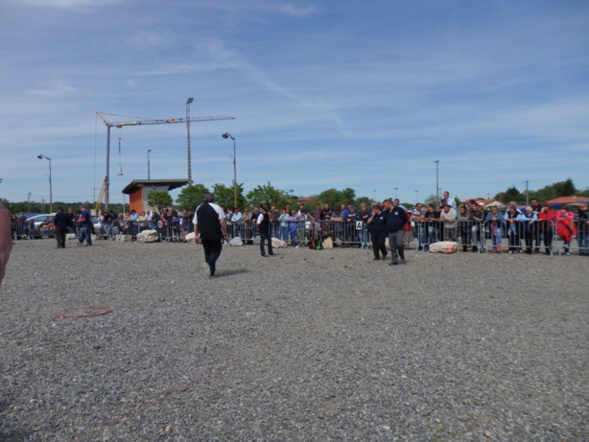 VIDEO 30 PREMIERES MINUTES DEMI FINALE CHPT HG MIXTE MIRAMONT MAI 2014 VIDEO 30 PREMIERES MINUTES DEMI FINALE CHPT HG MIXTE MIRAMONT MAI 2014