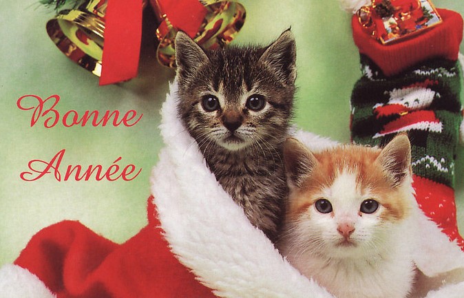 Les voeux 2015 des Player's Montalbanais Les voeux 2015 des Player's Montalbanais