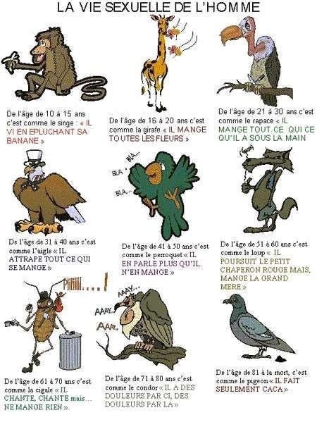 POUR NOUS LES HOMMES POUR NOUS LES HOMMES