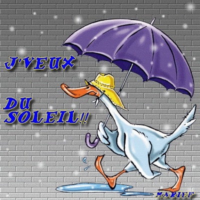 DU SOLEIL DU SOLEIL DU SOLEIL DU SOLEIL DU SOLEIL DU SOLEIL