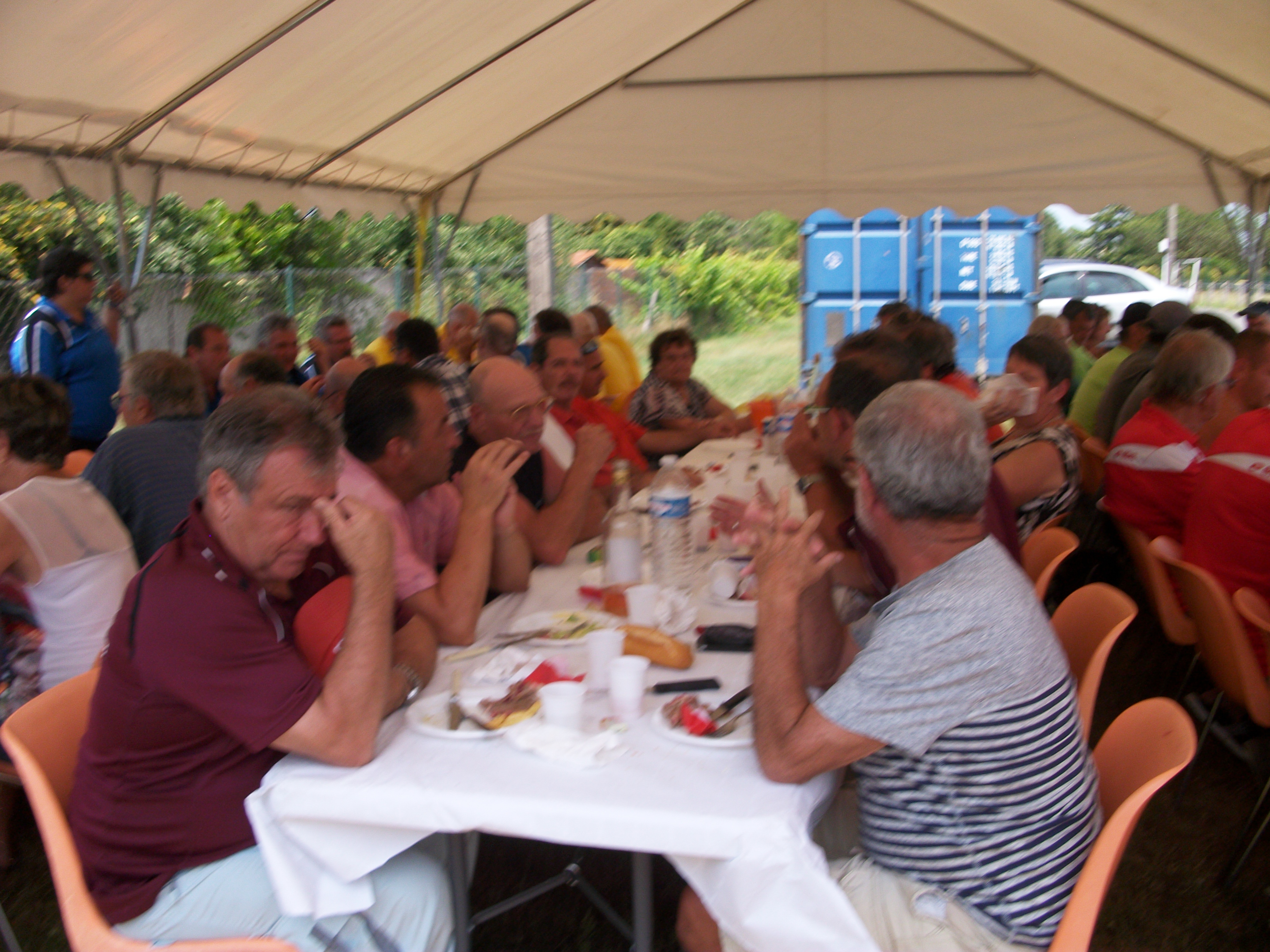 Article n°215 Article n°215