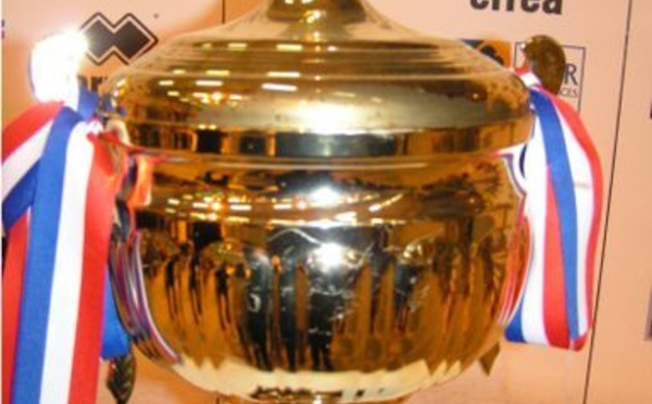 Coupe de France 2014.