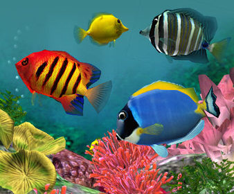 BIENVENUE A TOUTES ET TOUS !