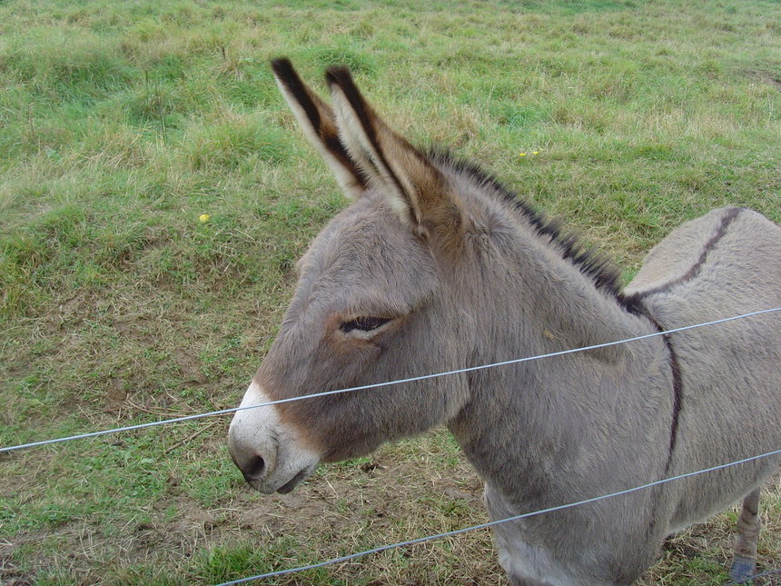 DERNIERES NEWS ;-) DERNIERES NEWS ;-)