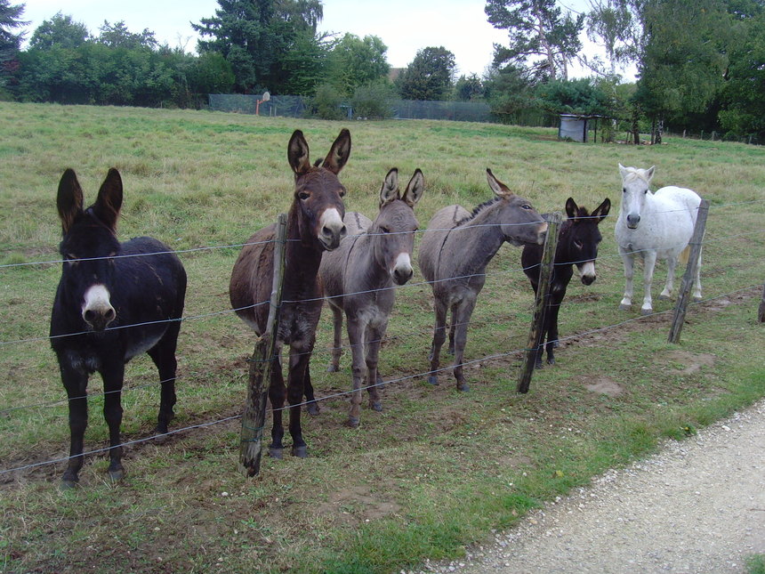SAULX MARCHAIS VOUS ATTENDS POUR CETTE SAISON 2011 !