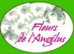 Fleurs de l'angelus