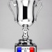 Coupe de France