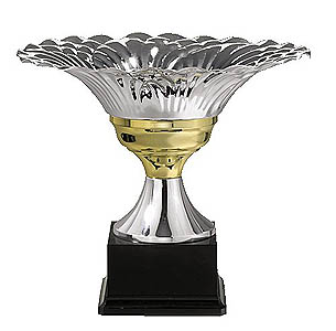 Coupe de France Coupe de France
