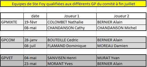 POINTS SUR LES EQUIPES QUALIFIÉES AUX GP DU COMITE