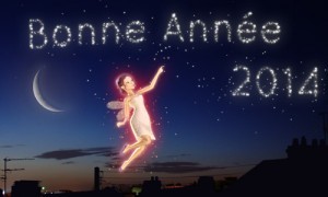 voeux 2014