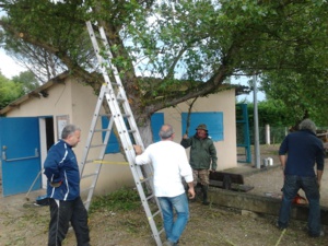 Nettoyage de printemps Nettoyage de printemps