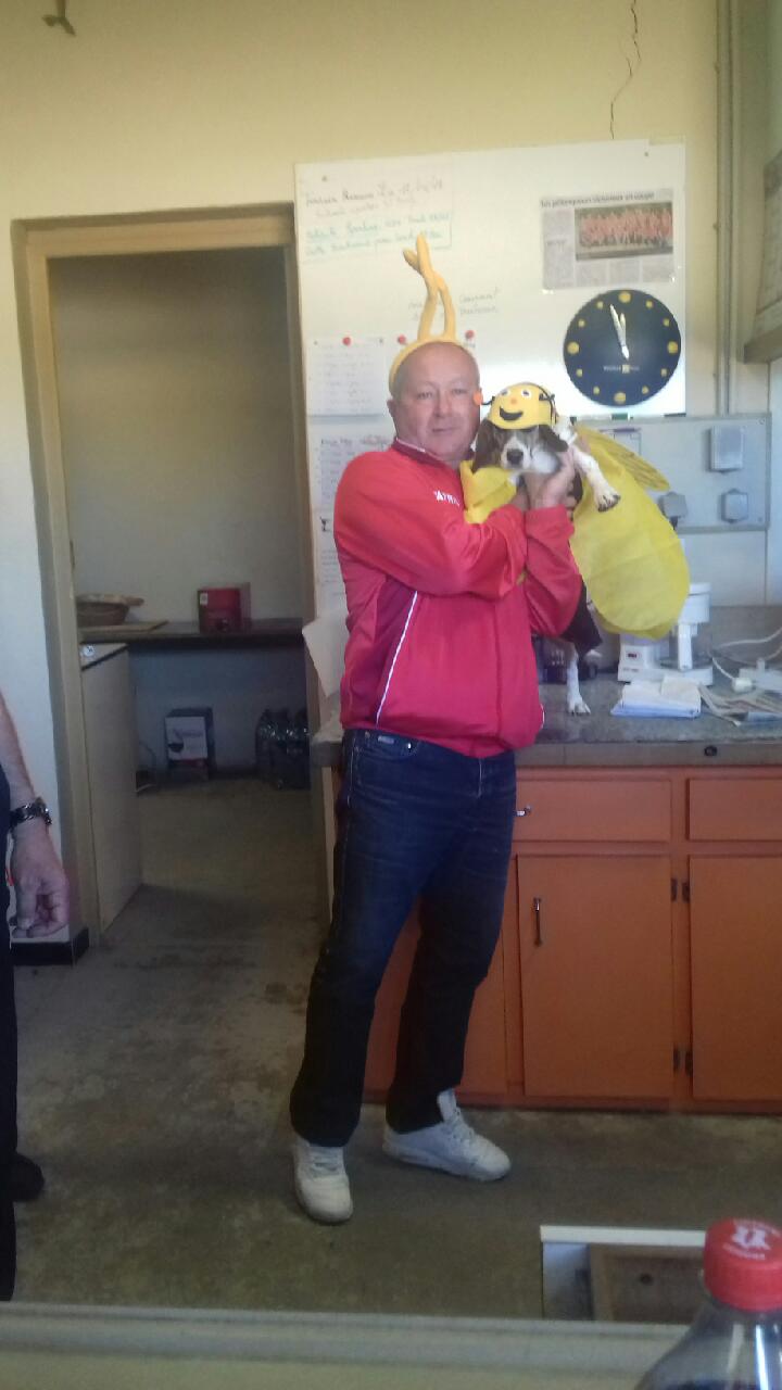 "Super Maya" et son costume abeille ! "Super Maya" et son costume abeille !