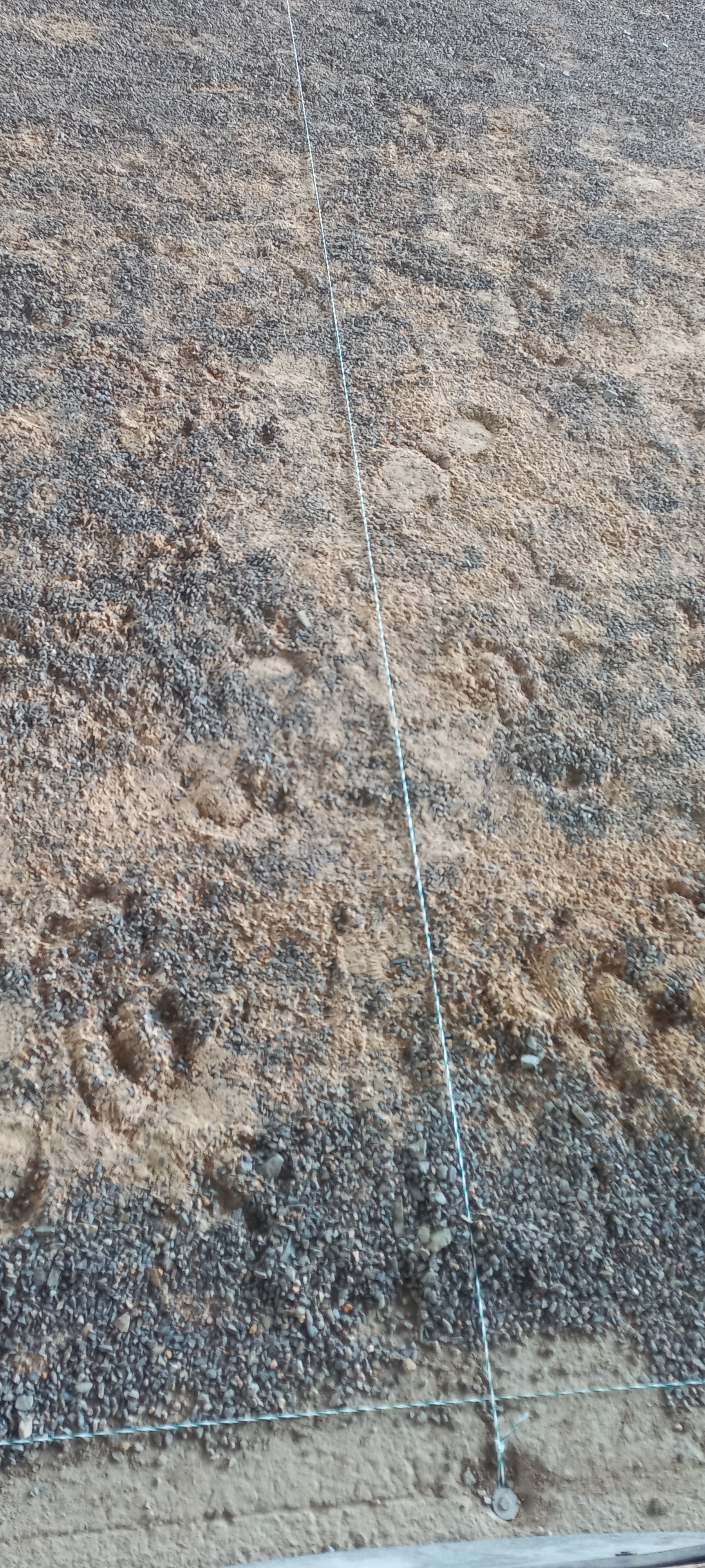 OUVERTURE DU BOULODROME DE BELLERIVE AUX ENTRAINEMENTS OUVERTURE DU BOULODROME DE BELLERIVE AUX ENTRAINEMENTS