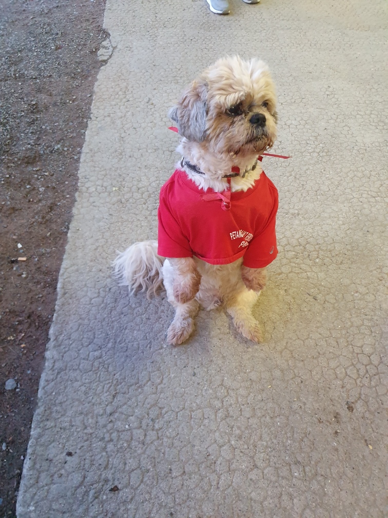 Pépé, la mascotte du club sait se faire remarquer pour avoir un peit gateau apéro !