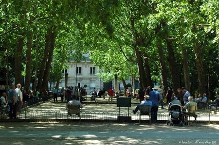 Les aires de jeu