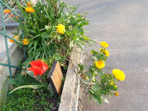 Installations mars 2020 Installations mars 2020