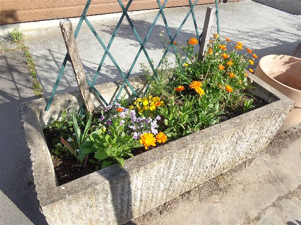 SVCP florale SVCP florale