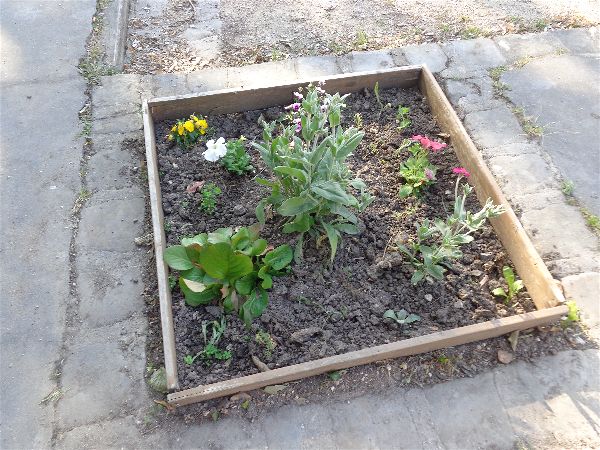 SVCP florale SVCP florale