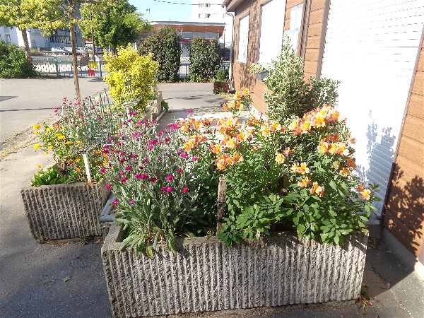 SVCP florale SVCP florale