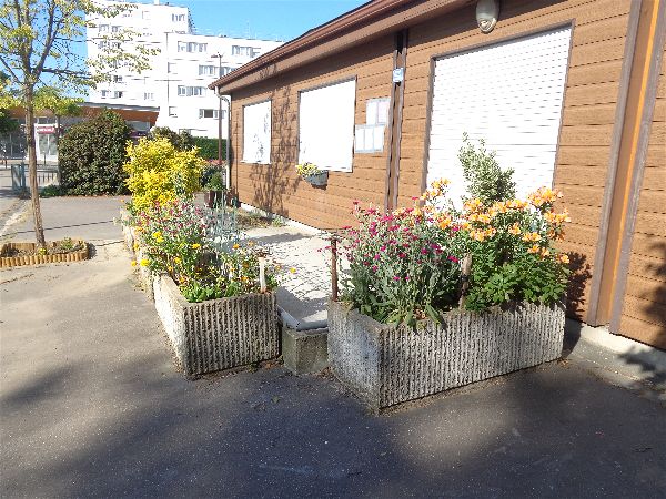 SVCP florale SVCP florale