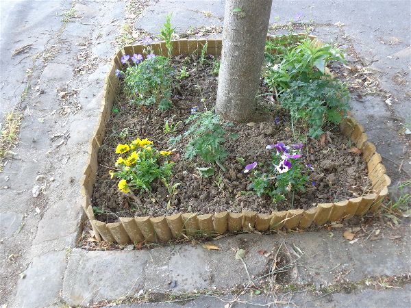 SVP florale SVP florale