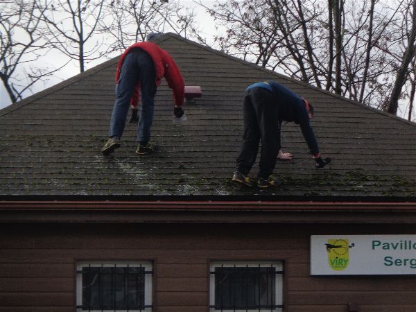 Démoussage SVCP Démoussage SVCP