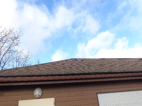 Démoussage SVCP Démoussage SVCP