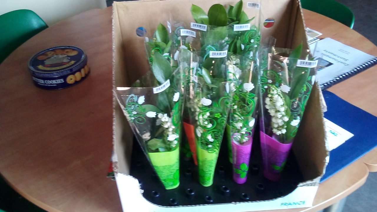 Tir de précision Tir de précision