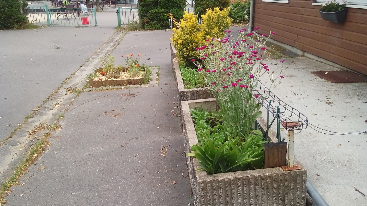 Fleurissement SVCP Fleurissement SVCP