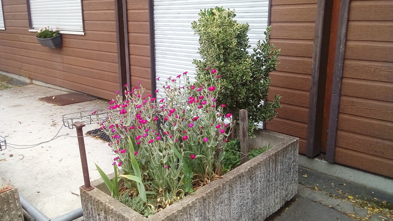 Fleurissement SVCP Fleurissement SVCP