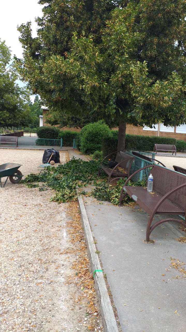 Taille des haies juillet 2021 Taille des haies juillet 2021