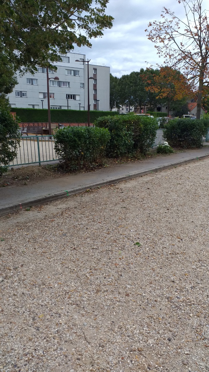 Taille des haies juillet 2021 Taille des haies juillet 2021