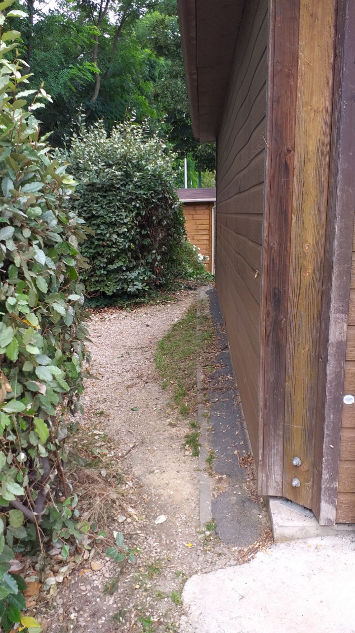 Taille de haie juillet 2021 Taille de haie juillet 2021