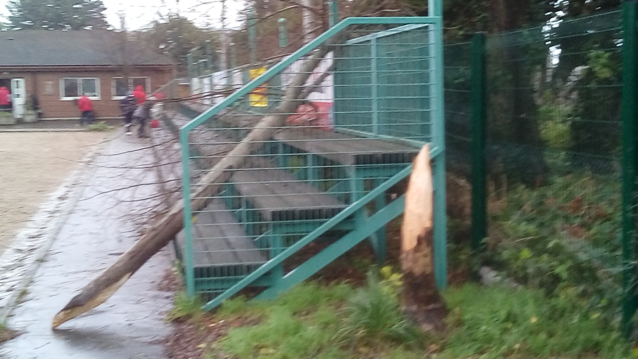 TÉLÉTHON 2021 TÉLÉTHON 2021