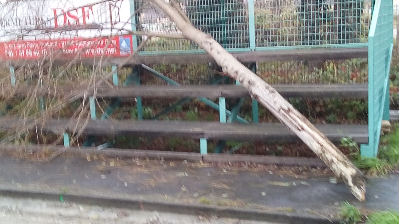 TÉLÉTHON 2021 TÉLÉTHON 2021