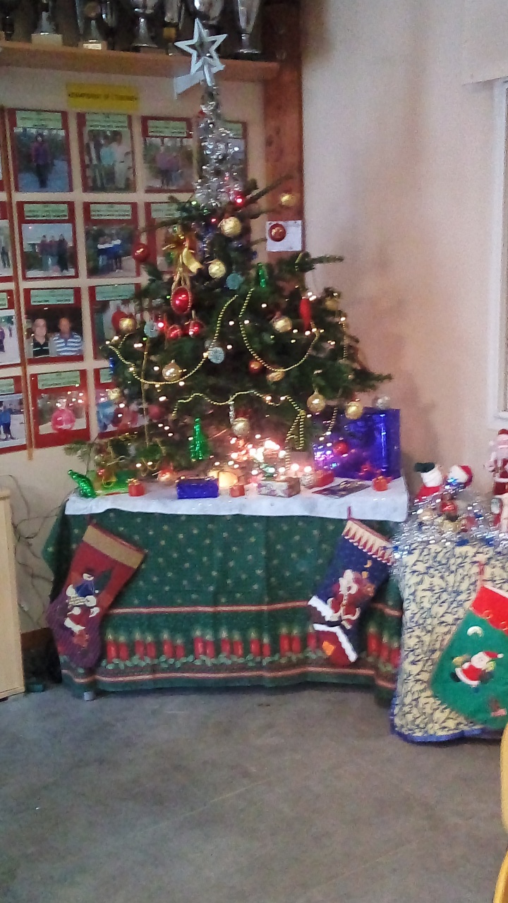 Sapin 2021 Sapin 2021