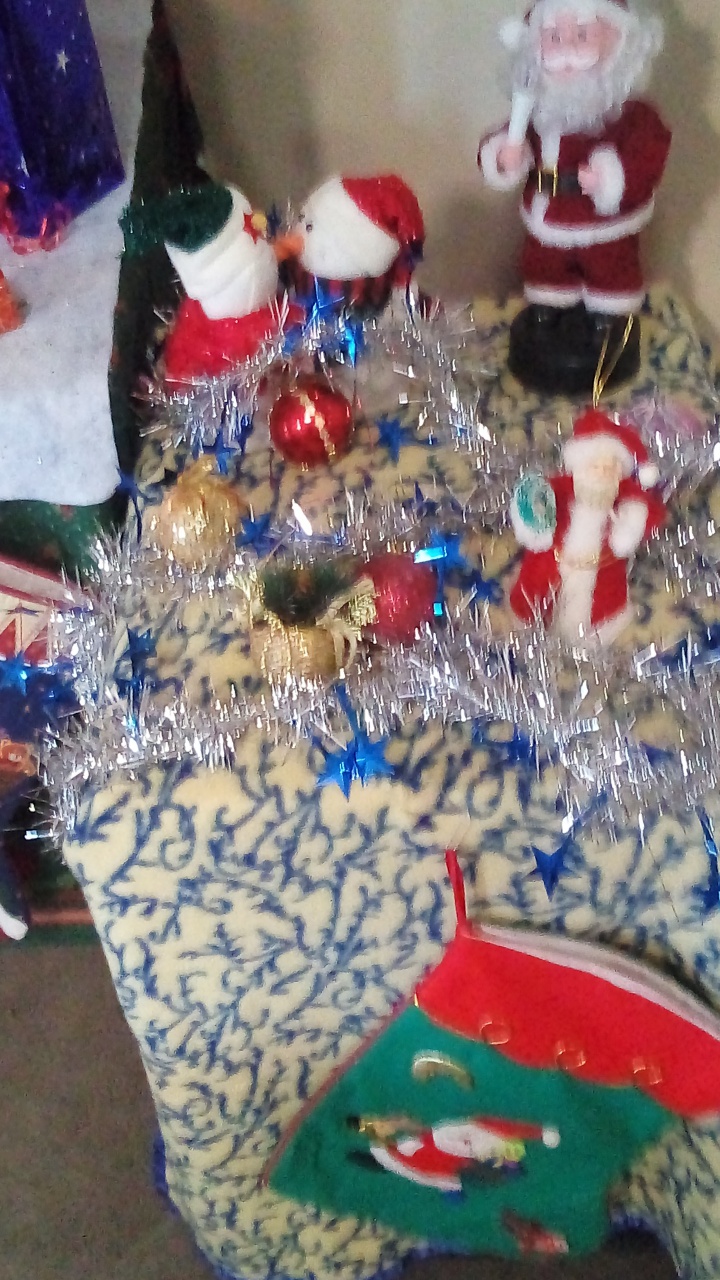 Sapin 2021 Sapin 2021