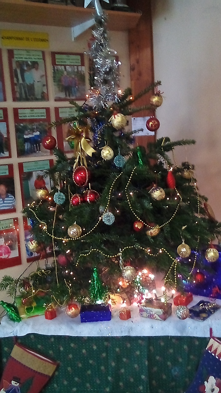 Sapin 2021 Sapin 2021