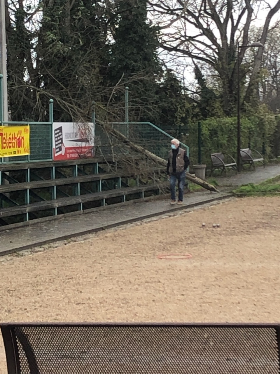 Chute d'un arbre Chute d'un arbre