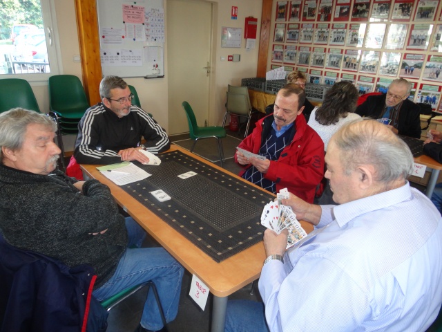 Tarot 2013 Tarot 2013