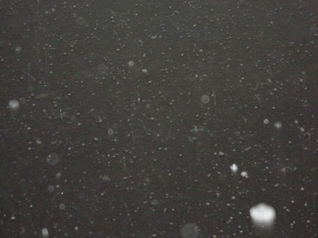 Coupe de France 2013/2014 Coupe de France 2013/2014