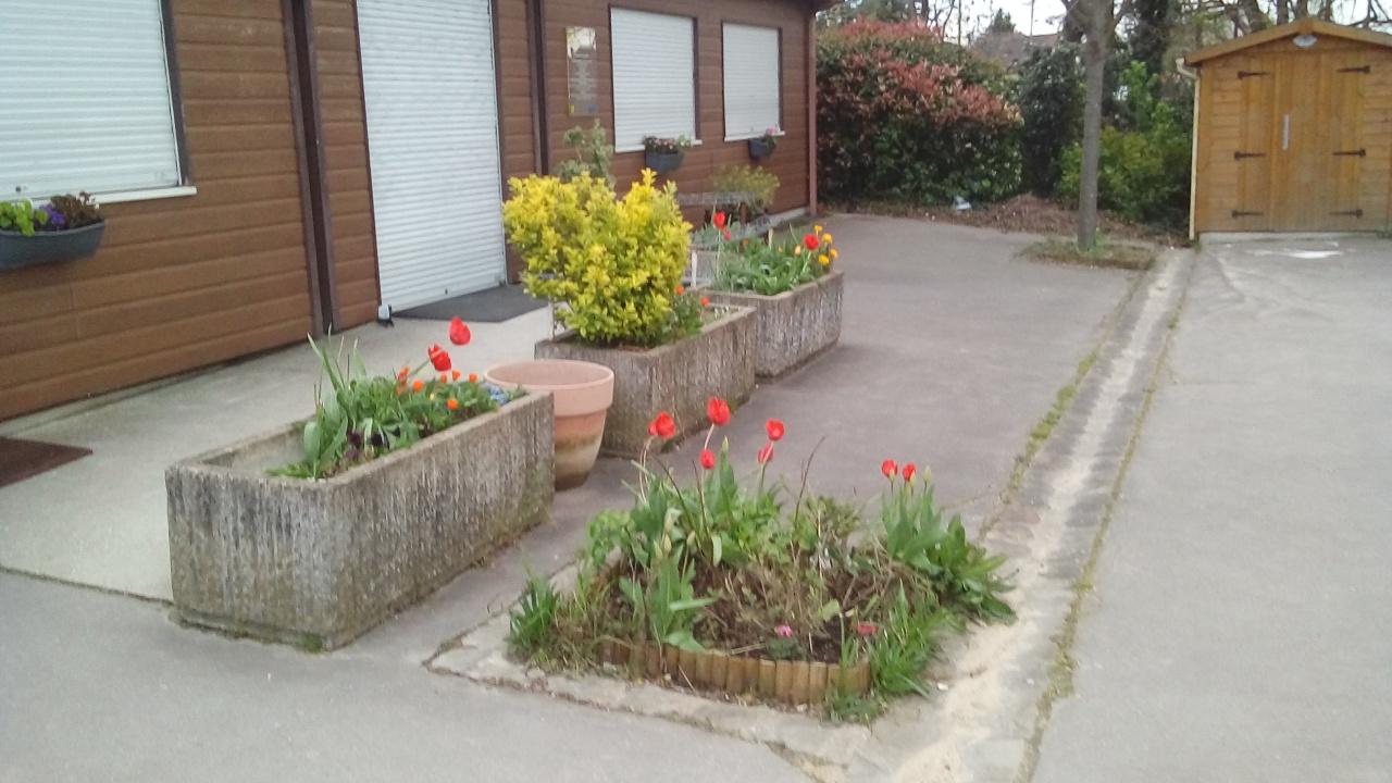 Fleurissement SVCP Fleurissement SVCP