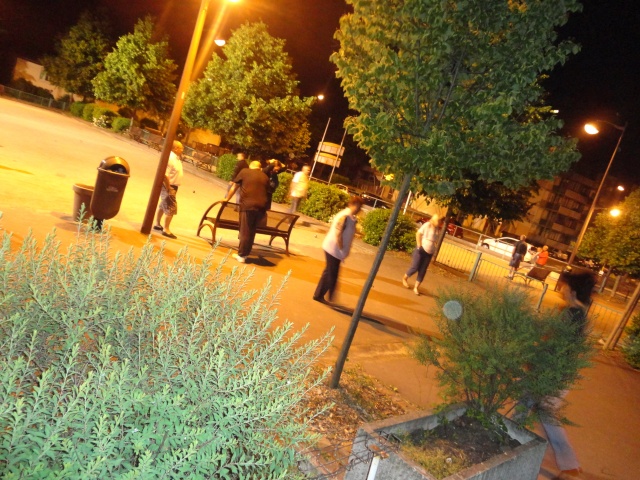 Repas saumon juin 2013 Repas saumon juin 2013